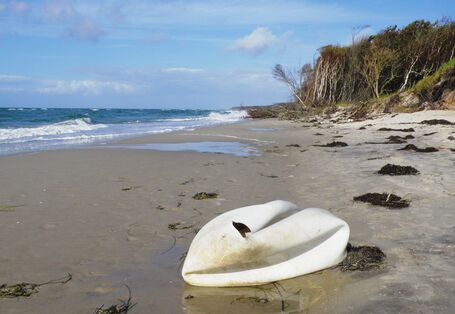 an einem Sansstrand am Meer liegt ein weißer Gegenstand, der einem Schwan ähnelt, aber ein kaputter weißer Gymnastikball oder ein ähnlicher Kunststoffgegenstand ist