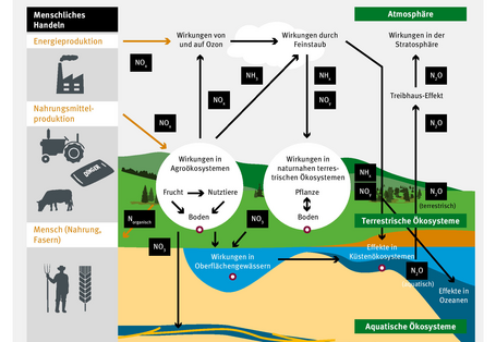 Schaubild zu den Stoffströmen: Durch menschliches Handeln wie Energie- und Nahrungsmittelproduktion gelangt NOx in die Luft und in den Boden. Aus dem Boden gelangt N2O in die Luft und NO3 in Oberflächengewässer und das Grundwasser und weiter in die Meere.