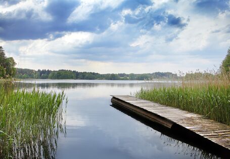 Lake with reed belt and jetty