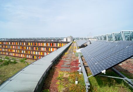 Four-storey office building with a façade made of wood and colourful glass elements; a photovoltaic system stands on the green roof