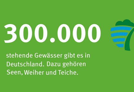 auf grünem Hintergrund steht: 300.000 stehende Gewässer gibt es in Deutschland. Dazu gehören Seen, Weiher und Teiche