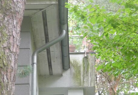 weiße Hausfassade, unter einem Balkongeländer, wo häufig Wasser die Fassade herunterfließt, hat sich ein grüner Belag gebildet