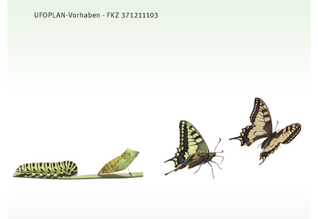 Cover der Broschüre "Wie Transformationen und gesellschaftliche Innovationen gelingen können - Transformationsstrategien und Models of Change für nachhaltigen gesellschaftlichen Wandel", UFOPLAN-Vorhaben - FKZ 371211103