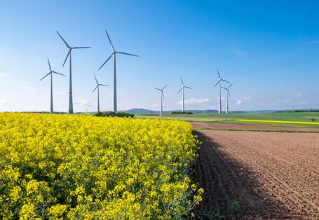 Windpark, im Vordergrund ein blühendes Rapsfeld