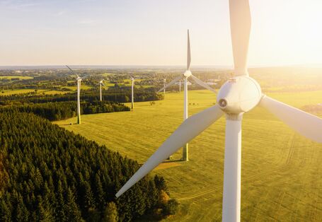 Windpark in einer sonnigen Landschaft