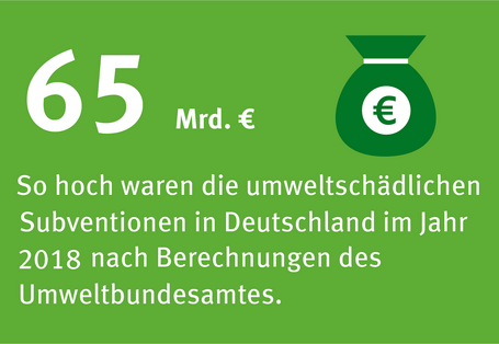 Auf grünem Hintergrund steht: 65 Milliarden Euro: So hoch waren die umweltschädlichen Subventionen in Deutschland im Jahr 2018 nach Berechnungen des Umweltbundesamtes.