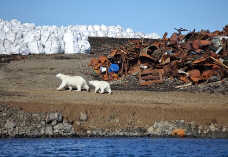 Verrosteter Schrott und andere Überbleibsel menschlicher Aktivitäten auf Franz-Josef-Land