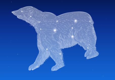 Das Sternbild des großen Bären