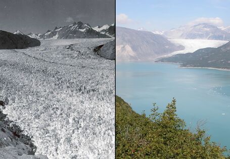 Abschmelzen des Muir Gletschers in Alaska 1941 und 2004