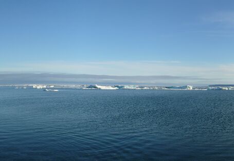 Panoramabild: Eisschollen auf dem arktischen Meer.