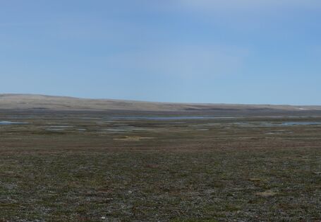 Hügelige feuchte Landschaft vor blauem Himmel