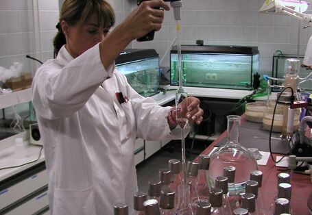 A woman in the apron of the chemistry works in the laboratory. You are filled with liquid glass vessels