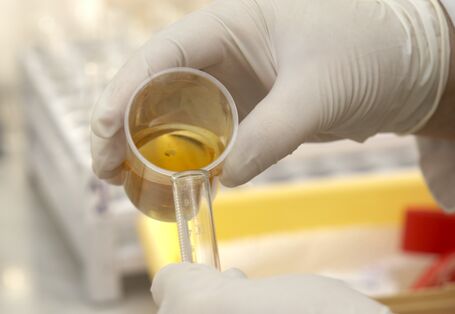 Flüssigkeit wird im Labor von einem Glasbehälter in ein Reagenzglas umgeschüttet