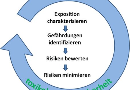 Schamtische Darstellung: Kreislauf "Vorsorge und Sicherheit" bestehend aus den Schritten Charakterisierung, Identifizierung, Bewertung und Minimierung