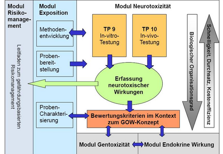 Grafische Darstellung: Übersicht der Versuche im Modul Neurotoxizität und Interaktion mit anderen Modulen zur Erstellung eines Leitfadens zum gefährdungsbasierten Risikomanagement