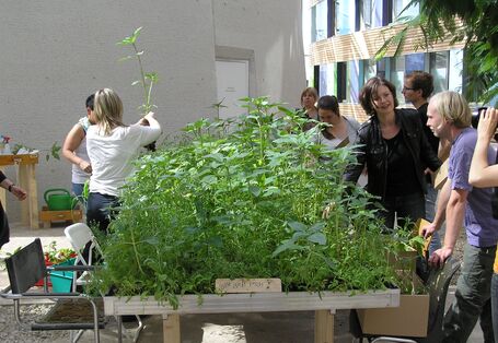 Forum des UBA: Garteninstallation mit hochgewachsenen Pflanzen und Menschen, die diese abholen