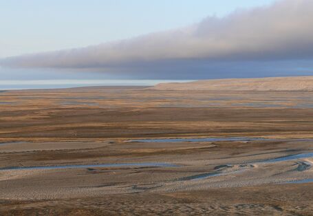 Braune karge Landschaft mit einigen Wasserstellen