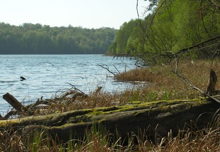 Blick über den Peetschsee
