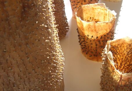 künstlerisch gestaltete Kakteen