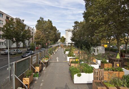 Eine ehemalige Straße wird von Anwohnern als Garten genutzt. Es stehen dort mehrere Holzkisten mit Gemüse und Pflanzen. 