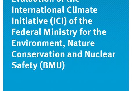 Cover Climate Change 17/2013 Evaluation of the International Climate Initiative (ICI) of the Federal Ministry for the Environment, Nature Conservation and Nuclear Safety (BMU)
