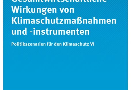 Cover Climate Change 21/2013 Gesamtwirtschaftliche Wirkungen von Klimaschutzmaßnahmen und -instrumenten