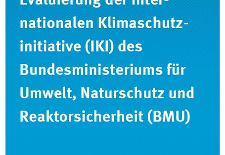 Cover Climate Change 16/2013 "Evaluierung der internationalen Klimaschutzinitiative (IKI) des BMU"