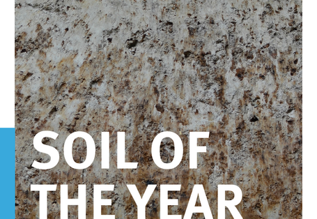 Cover Poster Soil of the year