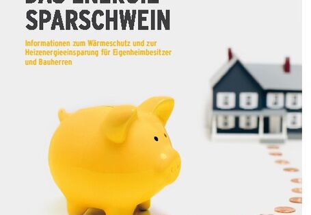 Cover Ratgeber: Das Energie-Sparschwein