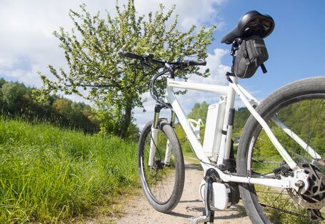 E-cycles on a field path