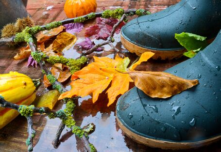 Gummistiefel im Regen und Herbstlaub