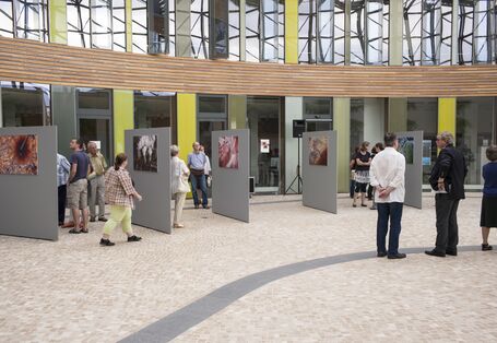 Aus New York nach Dessau: 30 großformatige Fotografien zeigt Fair im Umweltbundesamt