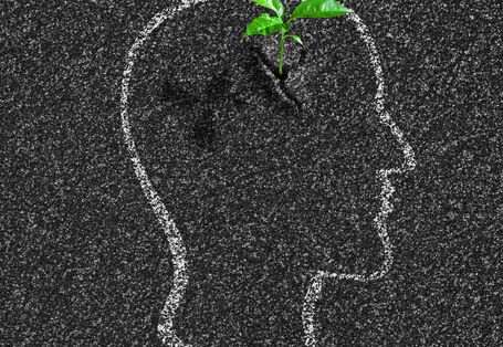 Mit Kreide gemalter Kopf auf Asphalt und sprießende kleine Pflanze