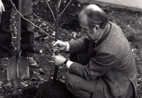Heinrich von Lersner pflanzt ein Bäumchen: Der UBA-Präsident übernahm die Baumpatenschaft für zwei Gingkos auf dem UBA- Gelände am Bismarckplatz. Die bis heute existierende Baumpaten-Aktion hat der Berliner Künstler Ben Wagin ins Leben gerufen.