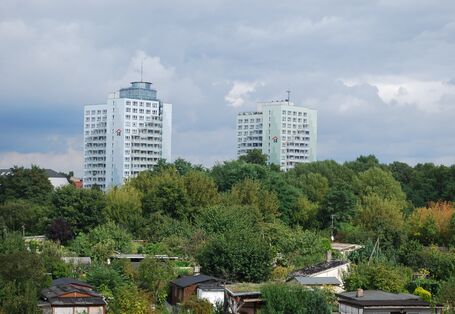 Zwei Hochhäuser im Hindergrund umgeben von einem dichten Baumbestand und einer Kleingartenanlage.