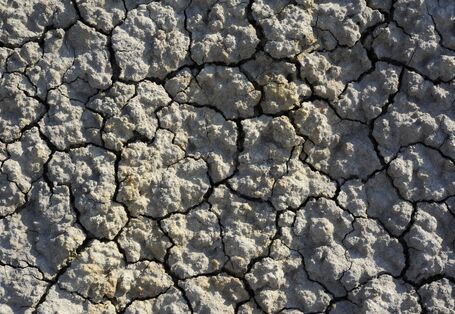 Nahaufnahme eines trockenen, unbewachsenen Bodenstücks.