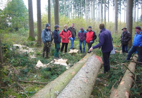 Gruppe von Personen im Wald vor älterem Nadelbestand mit Laubbaumunterpflanzung.