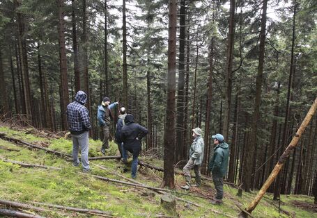 Sechs Männer in Nadelwald in Hanglage.