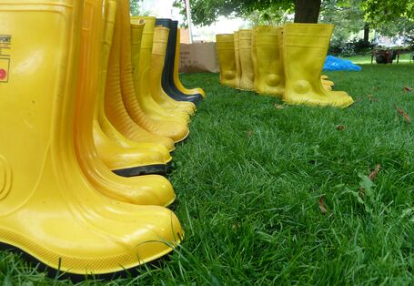Aufgereihte gelbe Gummistiefel auf Rasenfläche.