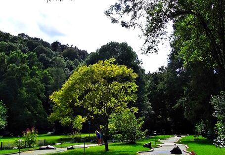 Parklandschaft mit Bank.