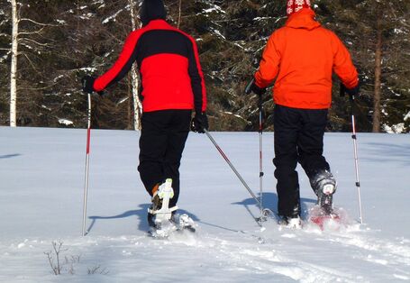 Rückenansicht von Schneeschuhwanderern.