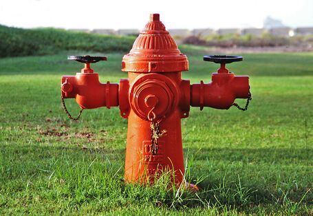 Roter Hydrant in grüner Landschaft.