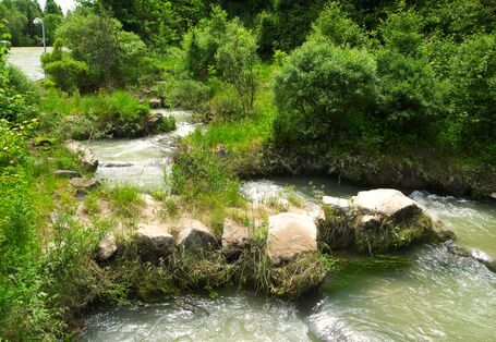 Renaturiertes Flüßchen.