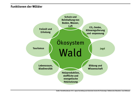 Das Schaubild zeigt verschiedene Bereiche, in denen der Wald Funktionen für Mensch und Umwelt erfüllt. Dazu gehören die Bereiche Wasserschutz, Klimaschutz, Bodenschutz, Biodiversität, Lebensraum sowie Freizeit und Erholung.