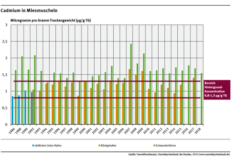Miesmuscheln aus dem Jadebusen sind stärker mit Cadmium belastet als Muscheln aus dem Sylt-Römö-Watt. Die Cadmiumgehalte schwanken zwar zwischen den Jahren, ein eindeutiger Trend ist aber an keiner der beiden Probenahmeflächen zu erkennen.