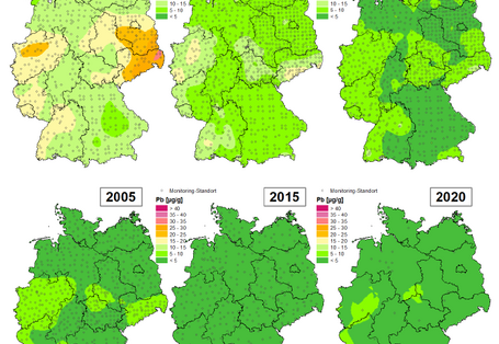 Die Karte zeigt die Höhe der Bioakkumulation von Blei und Entwicklung dieser Konzentration von 1990 bis 2020/21 in Deutschland.