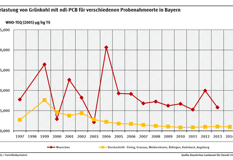 Belastungen der Grünkohlproben mit ndl-PCB waren in einer Großstadt wie München erwartungsgemäß in fast allen Jahren höher als der Durchschnitt der Belastungen in kleineren Städten und Orten in Bayern.
