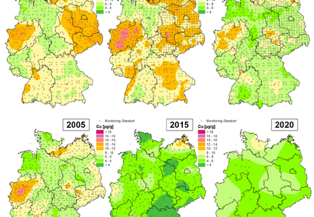 Die Karte zeigt die Höhe der Bioakkumulation von Kupfer und Entwicklung dieser Konzentration von 1990 bis 2020/21 in Deutschland.