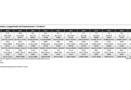 Tabelle: Mit Ausnahme des größeren Anstiegs der Krankheitslast von 2012 auf 2013 ist die Anzahl der DALYs ab dem Jahr 2013 rückläufig, wobei in den letzten drei Berechnungsjahren eher eine Stagnation der feinstaubbedingten Krankheitslast erkennbar ist.
