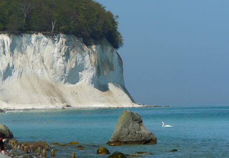 Kreidefelsen auf Rügen